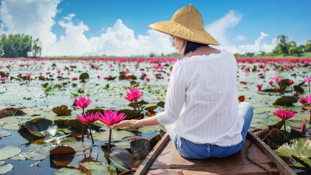 Lisa红莲花海泰国